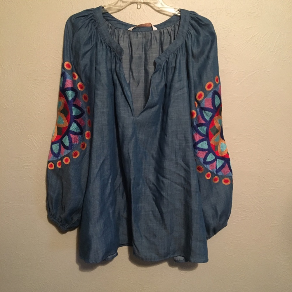 Zara embroidered balloon sleeve tunic top